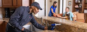 Real Estate Pest Inspections in Scenic, AZ